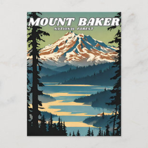 Mount Baker National Forest illustration retro Postcard