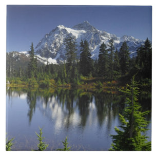 Mount Baker-Snoqualmie National Forest Tile