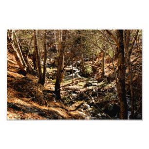 Mount Baldy Photo Print