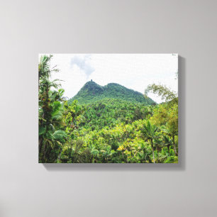 Mount britton and el yunque landscape canvas print