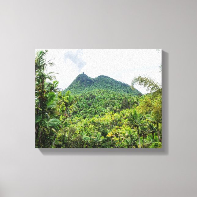 Mount britton and el yunque landscape canvas print (Front)