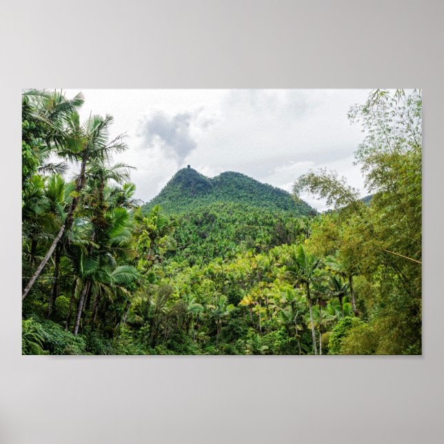 Mount britton and el yunque landscape poster (Front)