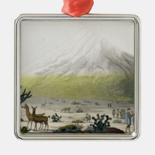 Mount Chimborazo, Ecuador, from 'Le Costume Ancien Metal Ornament