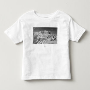 Mount Hamilton, California Lick Observatory Toddler T-shirt