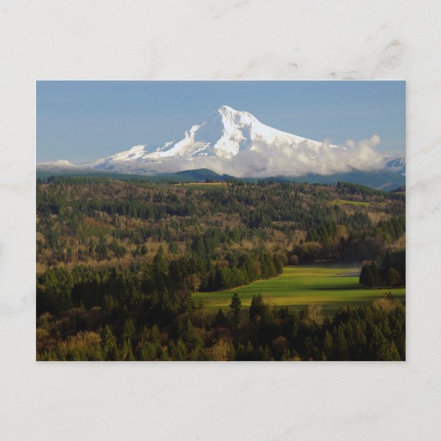 Mount Hood, Jonsrud Viewpoint, Sandy, Oregon Postcard (Front)