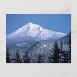 Mount Hood, Oregon Postcard