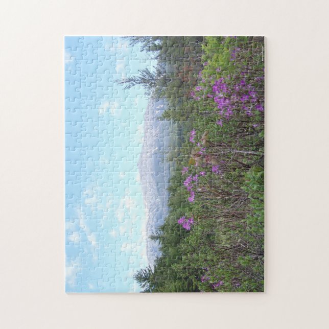 Mount Katahdin and wildflowers Jigsaw Puzzle (Vertical)