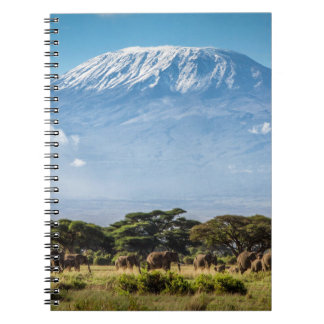 Mount Kilimanjaro Notebook