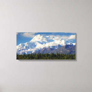 Mount McKinley Canvas Print