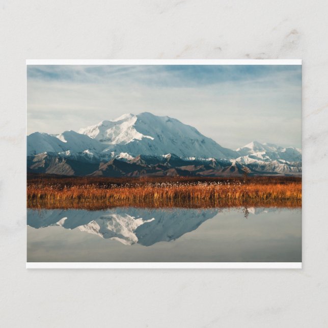 Mount McKinley in Denali NP, Alaska Postcard (Front)