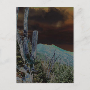 Mount Mitchell, North Carolina Postcard