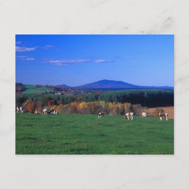 Mount Monadnock from Templeton MA Postcard (Front)
