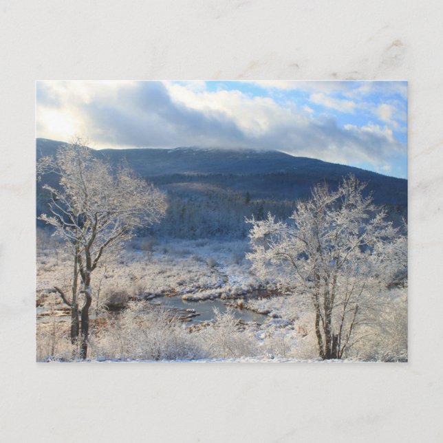 Mount Monadnock Winter Wetland Postcard (Front)