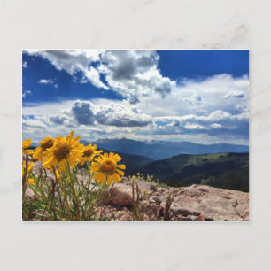 Mount of the Holy Cross Postcard