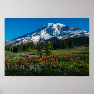 Mount Rainer wildflowers Poster