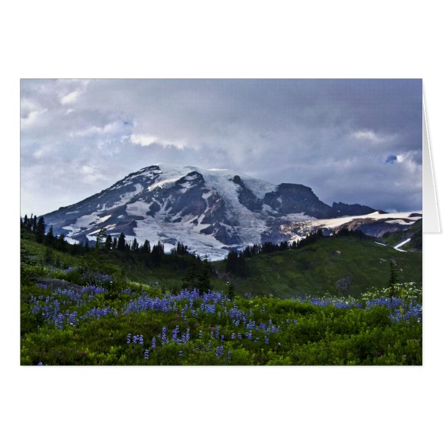 Mount Rainier (Front Horizontal)