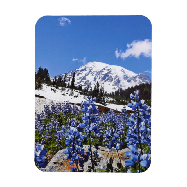 Mount Rainier at Paradise Point Magnet (Vertical)