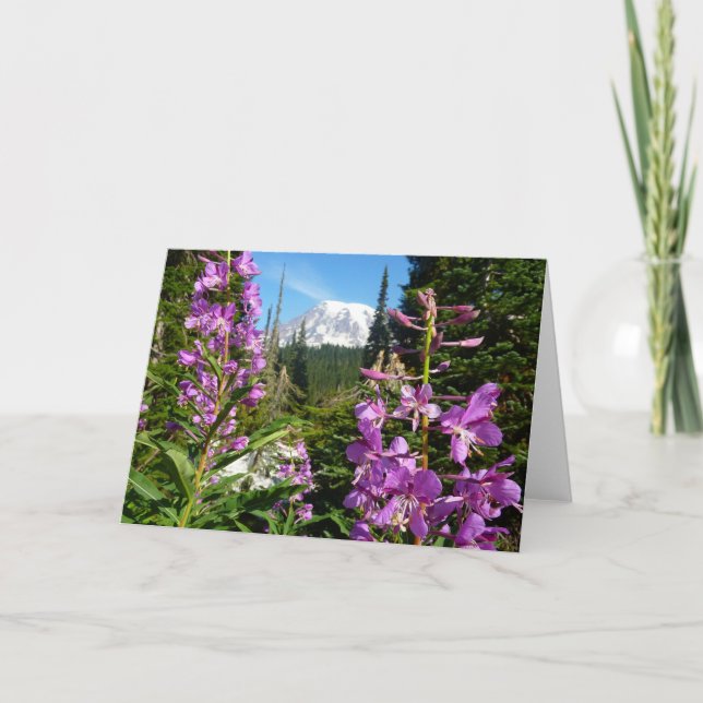 Mount Rainier Between Purple Phlox Flowers Card (Front)