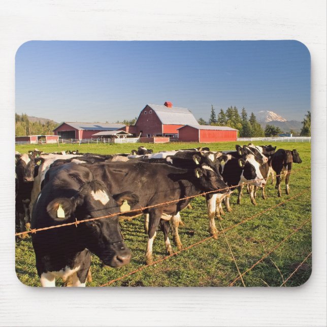 Mount Rainier Cattle Mousepad (Front)