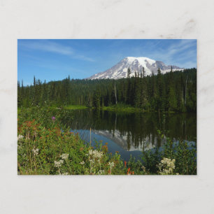 Mount Rainier Lake Reflection with Wildflowers Postcard