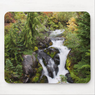 Mount Rainier National Park, autumn stream Mouse Pad