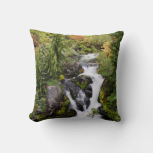 Mount Rainier National Park, autumn stream Throw Pillow