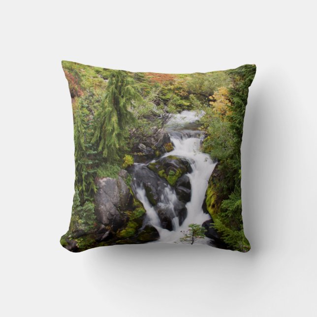 Mount Rainier National Park, autumn stream Throw Pillow (Front)