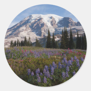 Mount Rainier National Park, Mount Rainier 3 Classic Round Sticker
