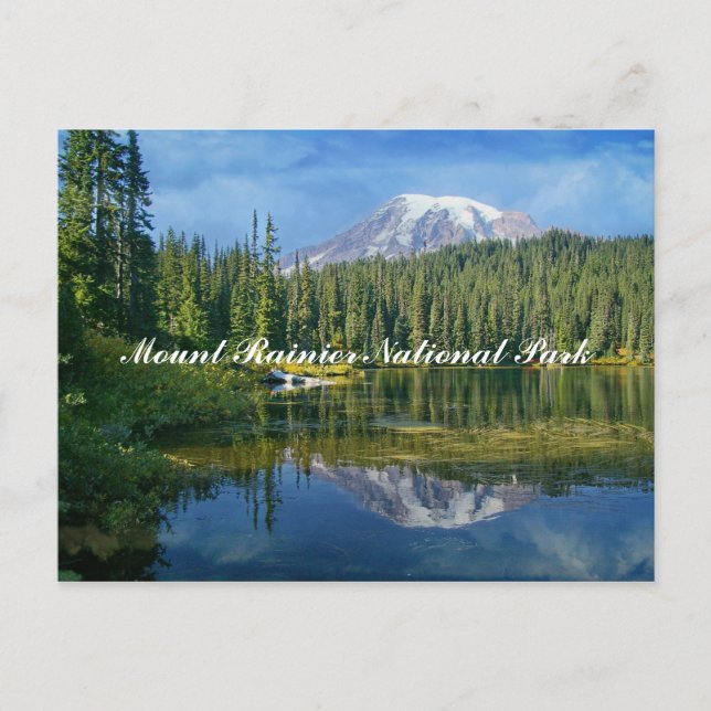 Mount Rainier National Park Postcard (Front)