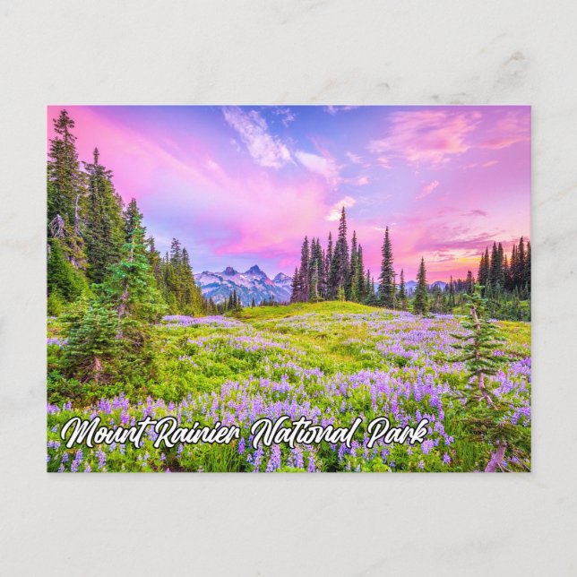 Mount Rainier National Park, Washington Postcard (Front)
