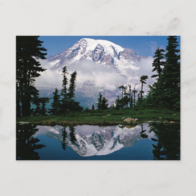 Mount Rainier relected in a mountain tarn Postcard (Front)