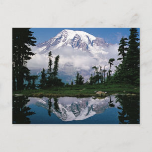 Mount Rainier relected in a mountain tarn Postcard