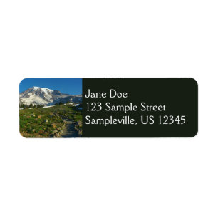 Mount Rainier Skyline Trail View