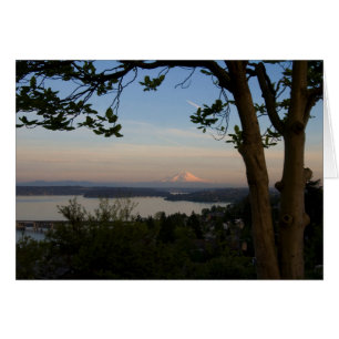 Mount Rainier Vista