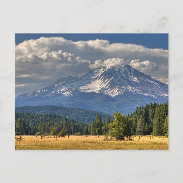 MOUNT SHASTA #2 POSTCARD (Front)