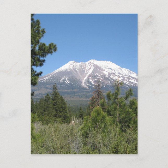 Mount Shasta California Postcard (Front)