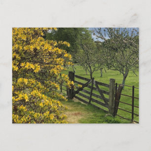 Mount Stuart Orchard & Gate Isle of Bute, Scotland Postcard