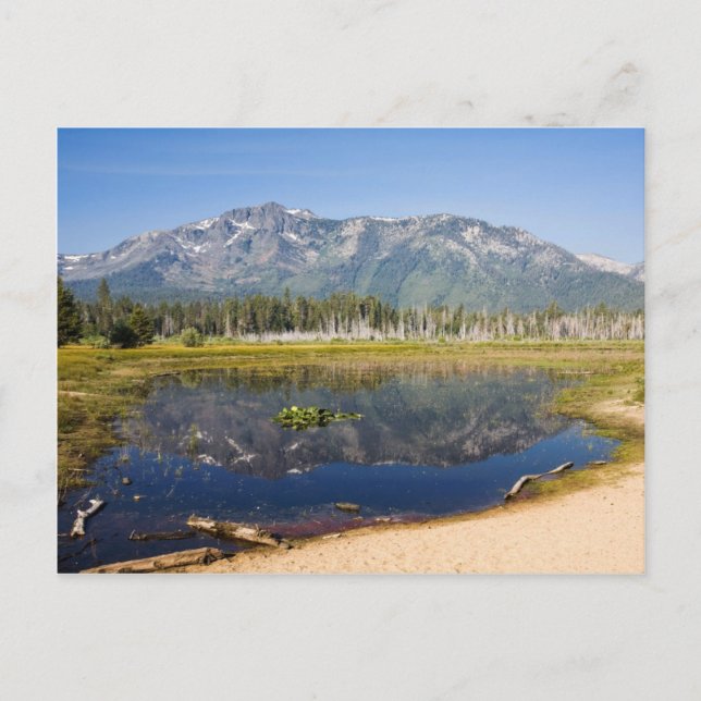 Mount Tallac Reflection Postcard (Front)