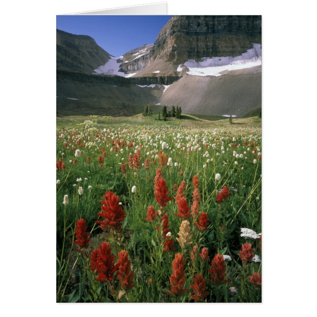 MOUNT TIMPANOGOS WILDERNESS, UT, US, (Front)