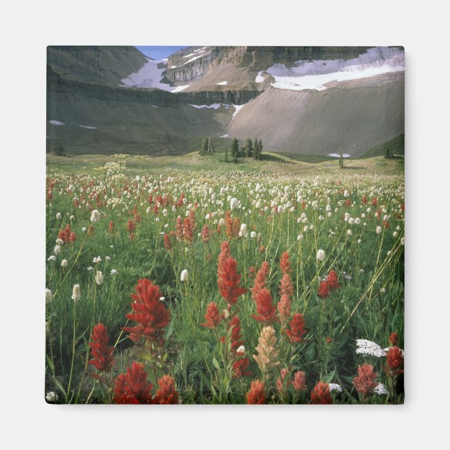 MOUNT TIMPANOGOS WILDERNESS, UT, US, MAGNET (Front)