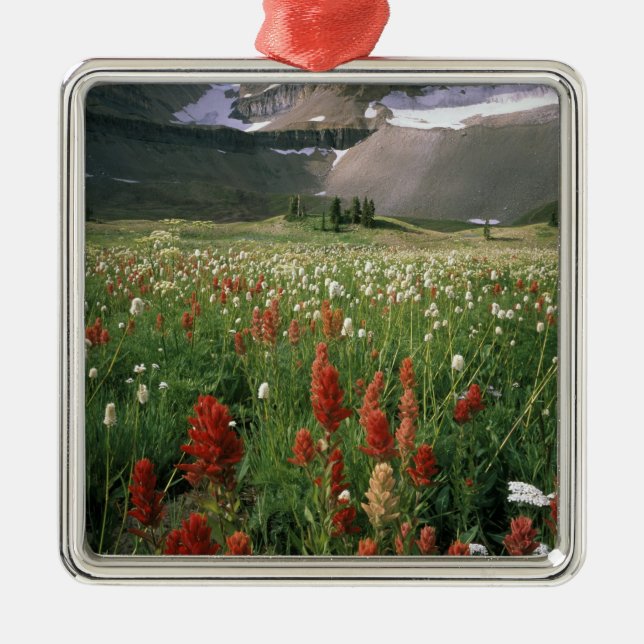 MOUNT TIMPANOGOS WILDERNESS, UT, US, METAL ORNAMENT (Front)