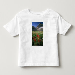 MOUNT TIMPANOGOS WILDERNESS, UT, US, TODDLER T-SHIRT