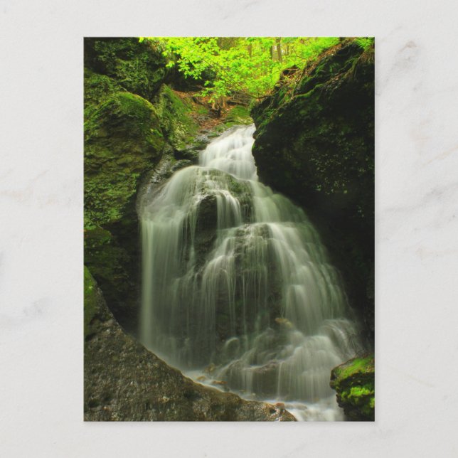 Mount Toby Roaring Falls Waterfall Postcard (Front)