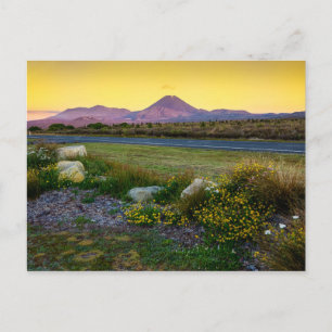 Mount Tongariro, New Zealand Postcard