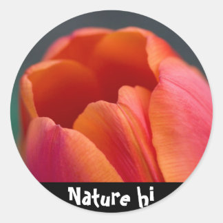 mount tulip classic round sticker