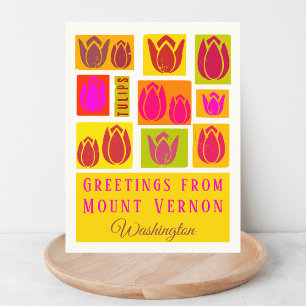 Mount Vernon Skagit Tulip Washington  Postcard