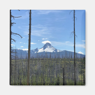 Mount Washington, OR Magnet
