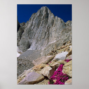 Mount Whitney, California Poster