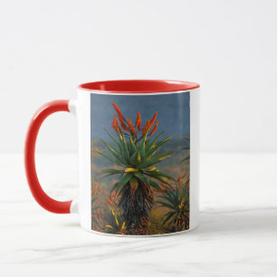 Mountain Aloe (Aloe Marlothii Berger) 2 Mug