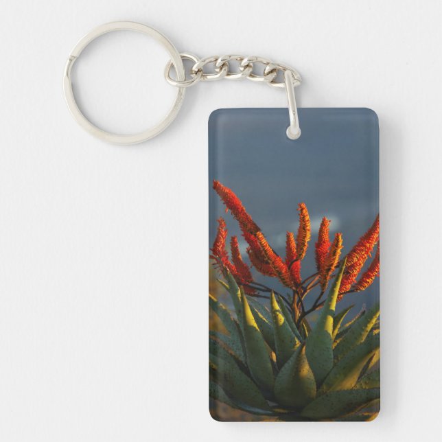 Mountain Aloe (Aloe Marlothii Berger) Keychain (Front)